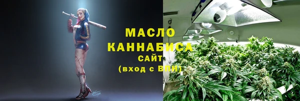 стаф Касимов