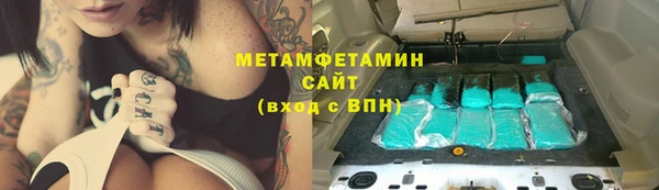 индика Каменногорск