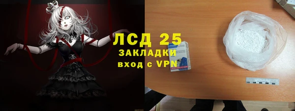стаф Касимов