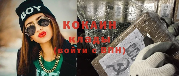 индика Каменногорск