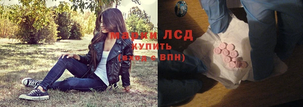 индика Каменногорск