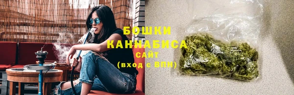 стаф Касимов