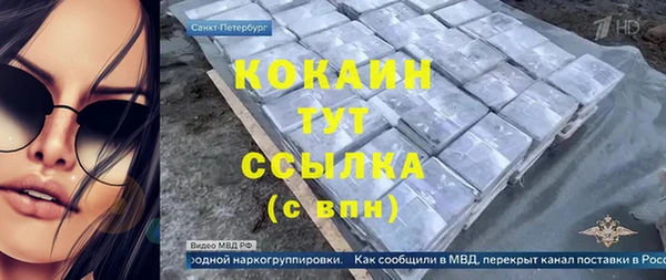 индика Каменногорск
