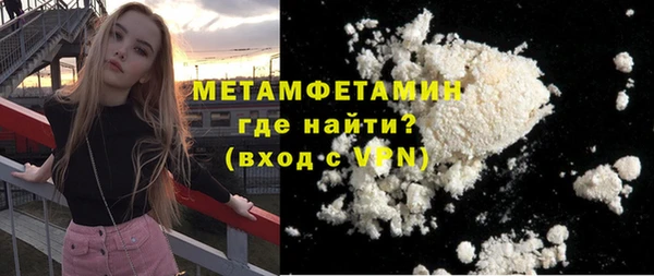 индика Каменногорск