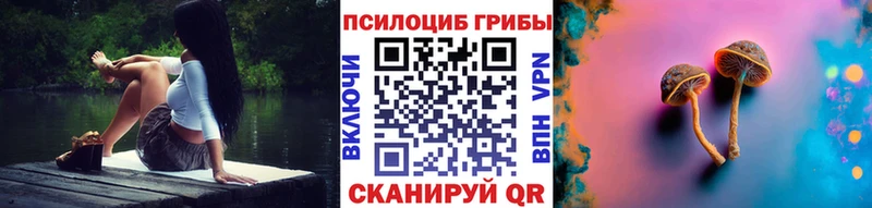 Купить  Краснознаменск  Галлюциногенные грибы Cubensis 